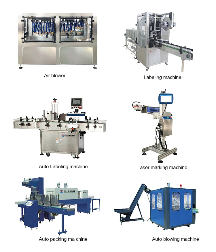 Automatic 5000bph Fruit Pulp Juice Pet Bottle Filling Machine