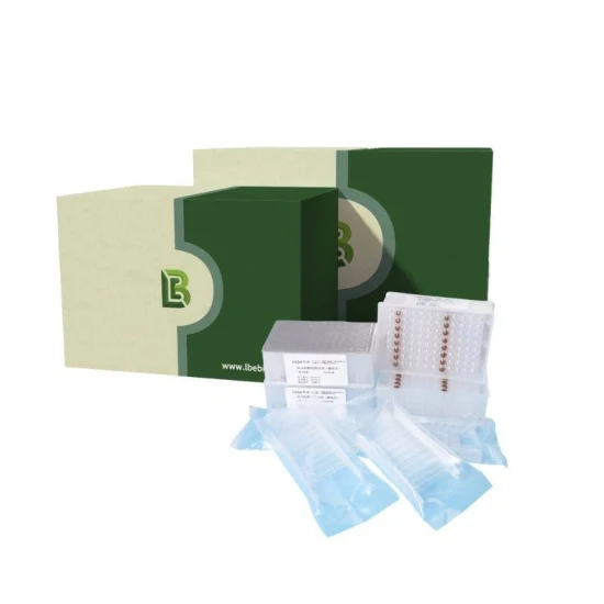 Rn09-Easyspin Plant Rna Rapid Extraction Kit Dispositivo per test Ivd