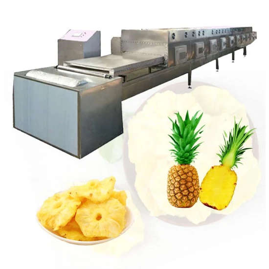 Personalizzazione industriale di apparecchiature per l'essiccazione di funghi utilizzabili nel microonde per uso alimentare
